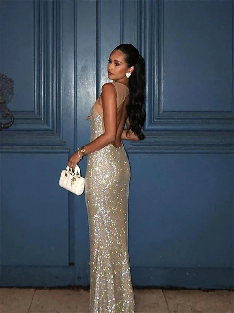Sparkle Elegance Dress